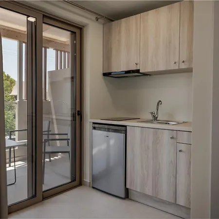 Διαμέρισμα Anemoni Lofts